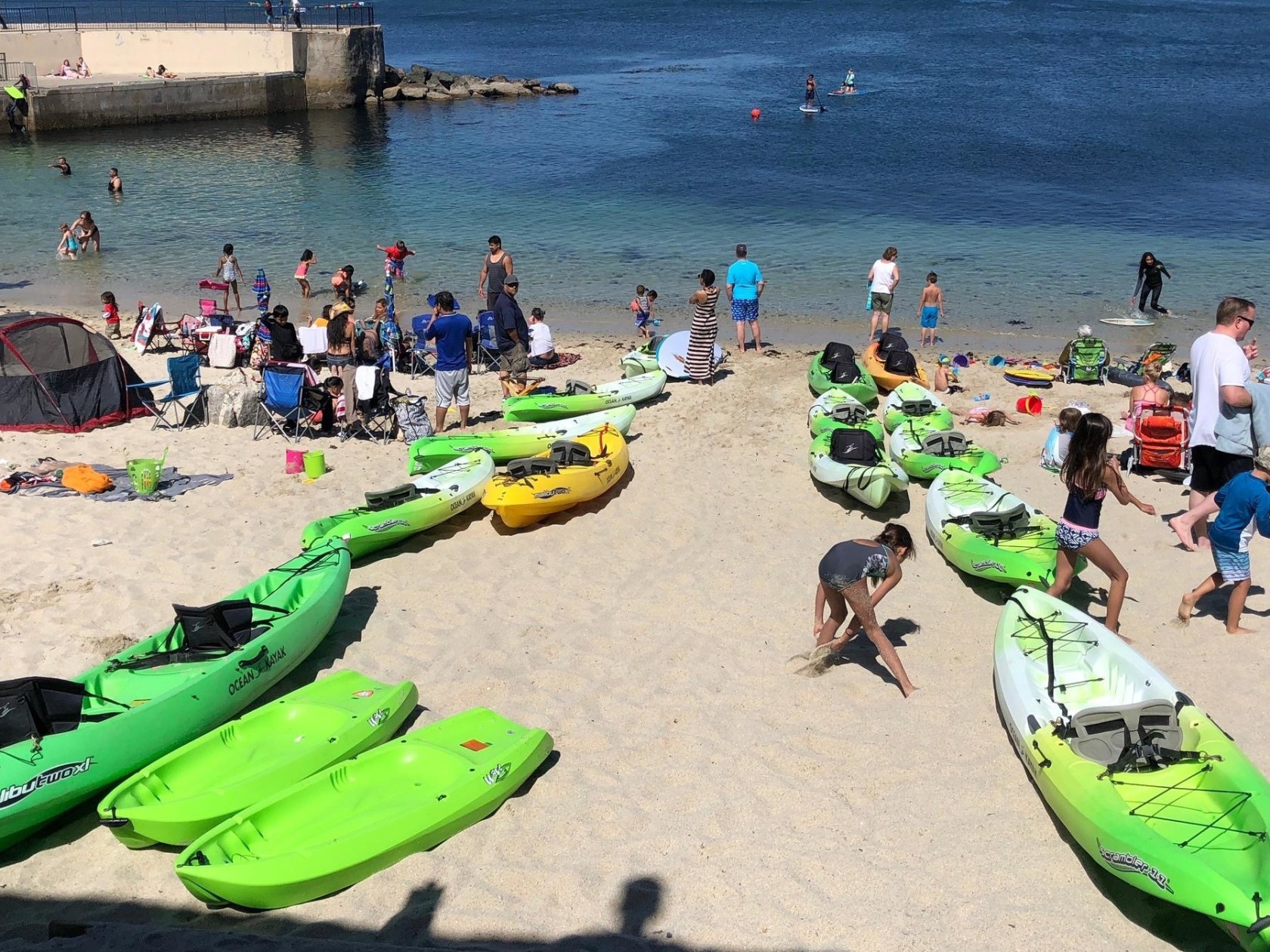 Kayak Rental