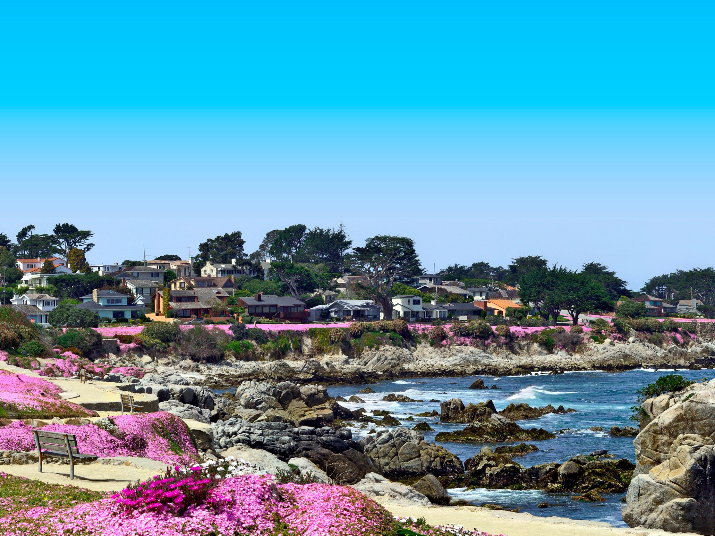 Pacific-Grove_Scenic
