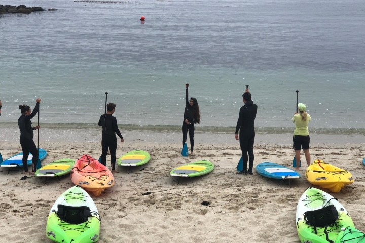 Paddle Board Rental