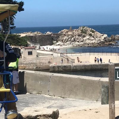 Surrey at lovers point park